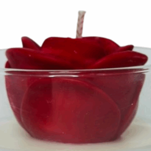 Vela Red - Image 4